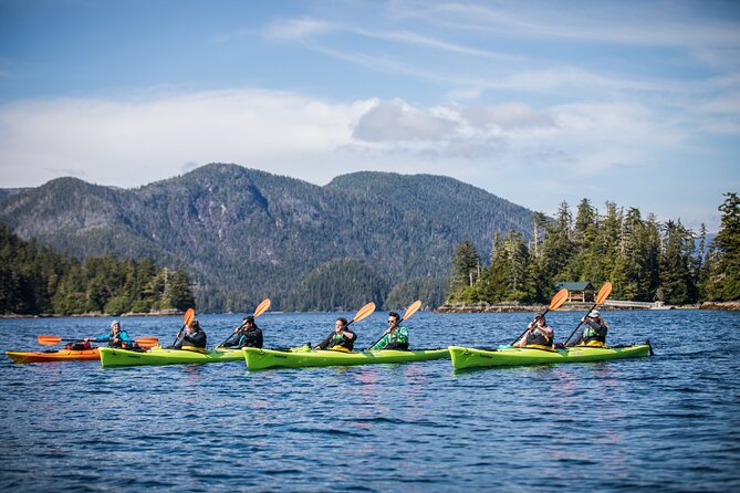 Siginaka Islands Cruise and Kayak Adventure - Key things to know before you book