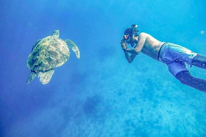 Similan Islands Day Tour from Phuket and Khaolak - Island No. 8 and the walk to Sailing Rock