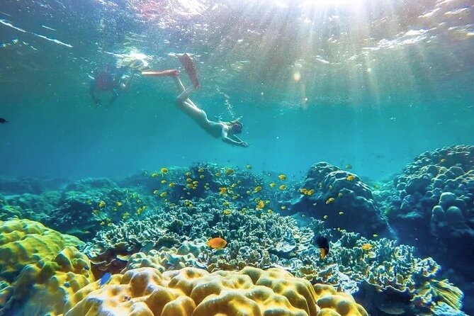 Similan Islands Day Tour from Phuket and Khaolak - Island No. 9 and the first snorkeling stop