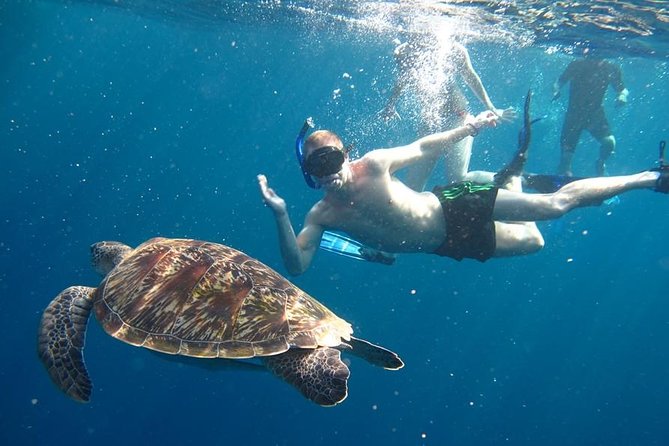 Similan Islands Day Trip by Speedboat From Phuket - Key Points Before You Book