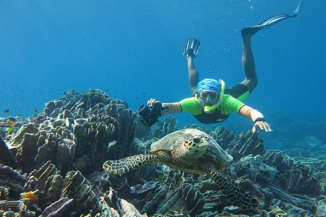 Similan Islands Day Trip by Speedboat From Phuket - Group Size, Crowds, and the Feel of the Day