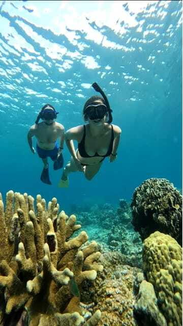 Snorkeling around 3 island & turtle sanctuary - Crowds, guiding, and the rating to keep in mind