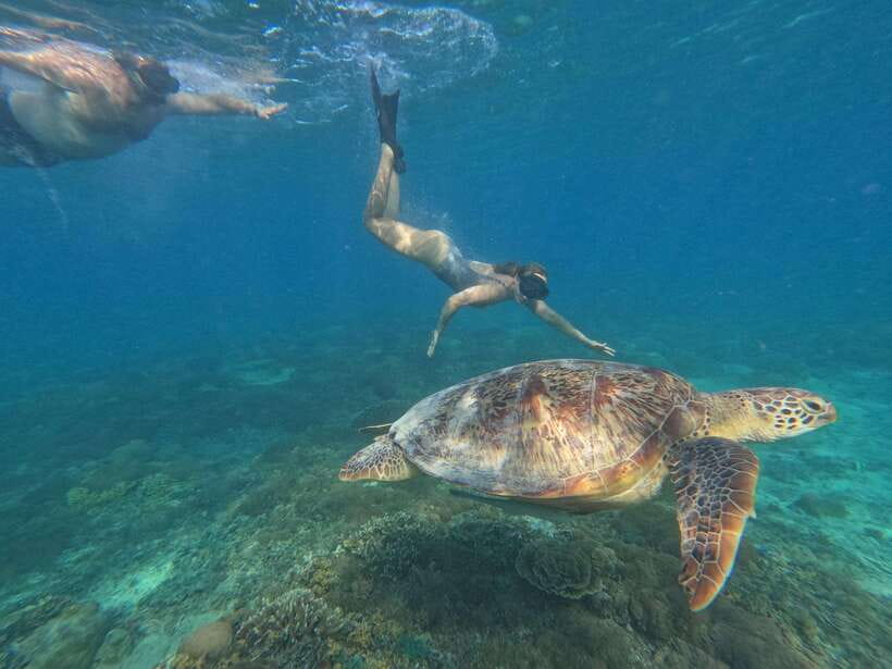 Snorkeling around 3 island & turtle sanctuary - Who should book this half-day outing?