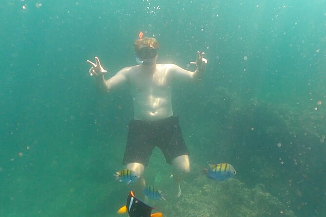 Snorkeling at Los Arcos 5 islands Hidden Beach and Cliff Jumping - The boat-only beach stop