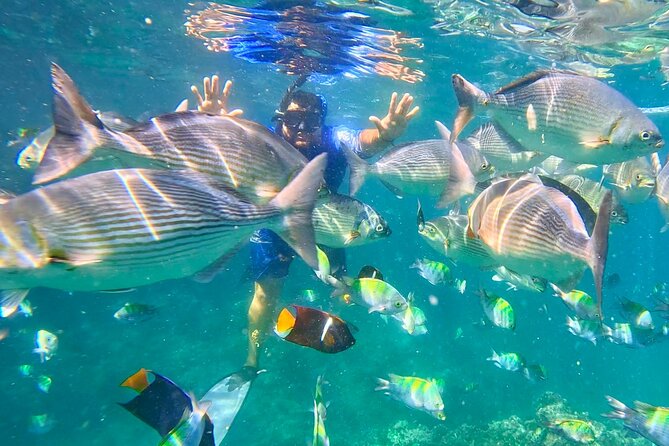Snorkeling at Los Arcos 5 islands Hidden Beach and Cliff Jumping - Meeting in Puerto Vallarta and reaching Mismaloya