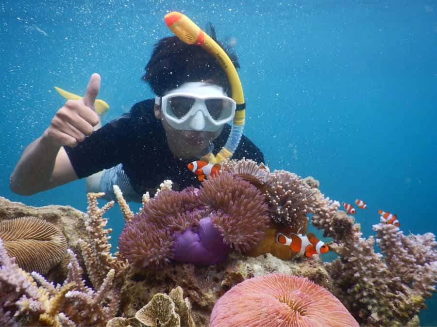 Snorkelling & islandhopping tour Karimunjawa (private tour) - Why this Karimunjawa day works well