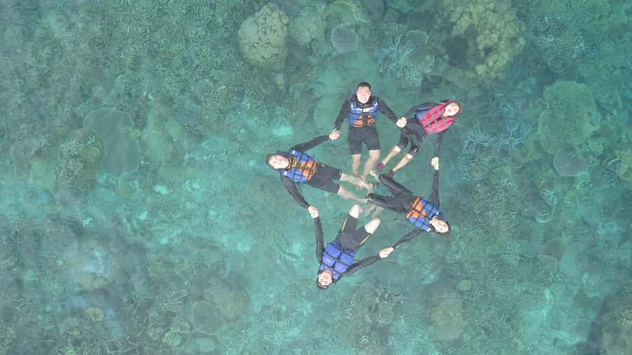 Snorkelling & islandhopping tour Karimunjawa (sharing tour) - Who will enjoy this $22 shared tour
