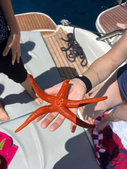 Split: 5 Islands Full-Day Tour to Blue Cave, Vis & Hvar - Key points to know before booking