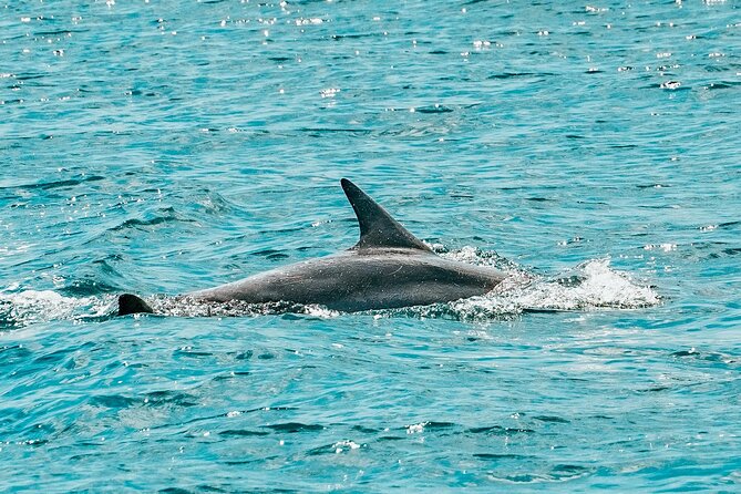 Split: Blue Lagoon & 3 Island Cruise with Wine & Snorkeling - Trogir in one hour: stone lanes and Adriatic history