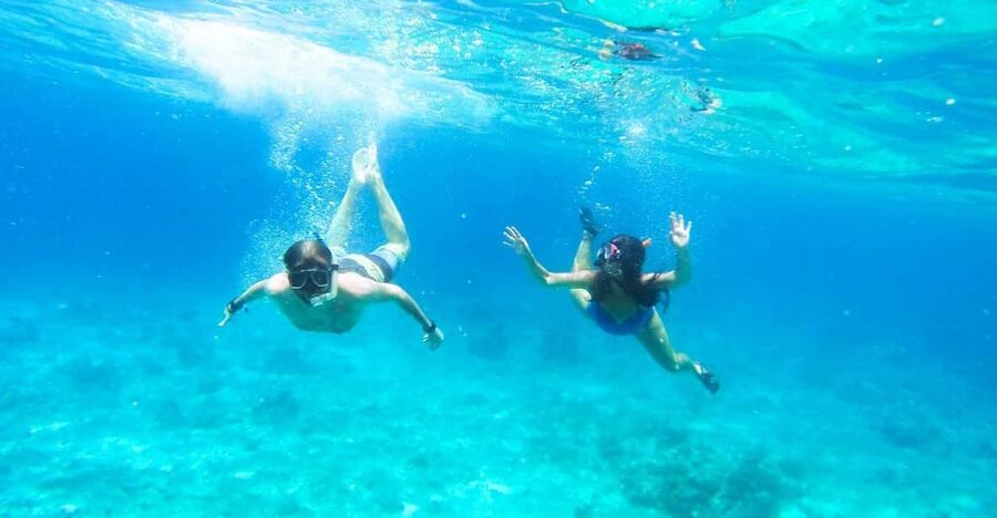 Split: Blue Lagoon, Hvar and 6 Islands Small Group Boat Tour - The highlights worth knowing