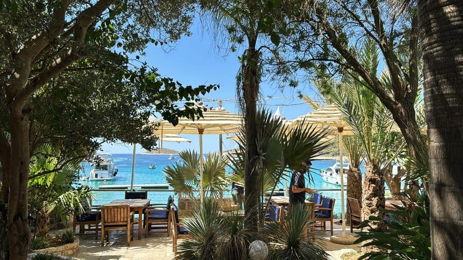 Split: Blue Lagoon, Hvar and 6 Islands Small Group Boat Tour - Maslinica shows you a quieter Šolta