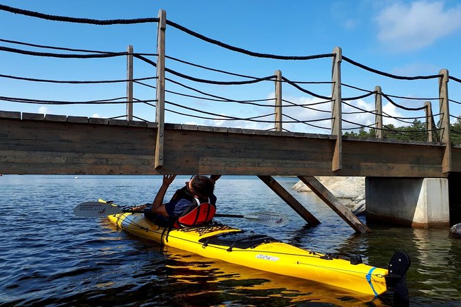 Stockholm Archipelago Kayaking Day Tour - The return paddle and Swedish fika