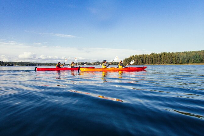 Stockholm: Kayaking tour around Vaxholm Archipelago with Fika - Paddling the Baltic waters as a beginner