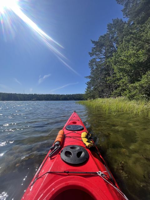 Stockholm: Morning Kayak Tour in the Archipelago with Lunch - Swedish fika before returning to Stockholm