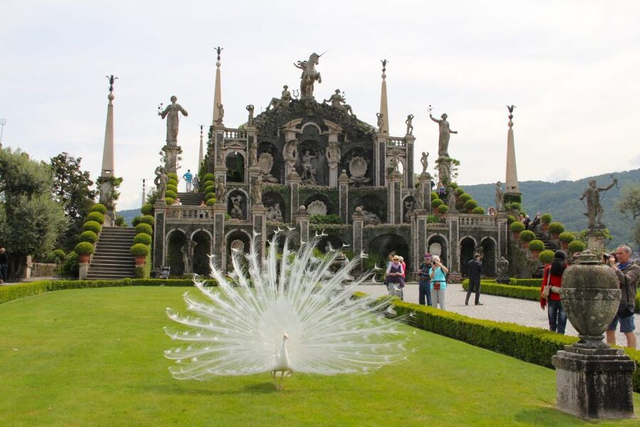 Stresa: 3 Borromean Islands Boat Tour - Who Will Enjoy This Island Tour Most?