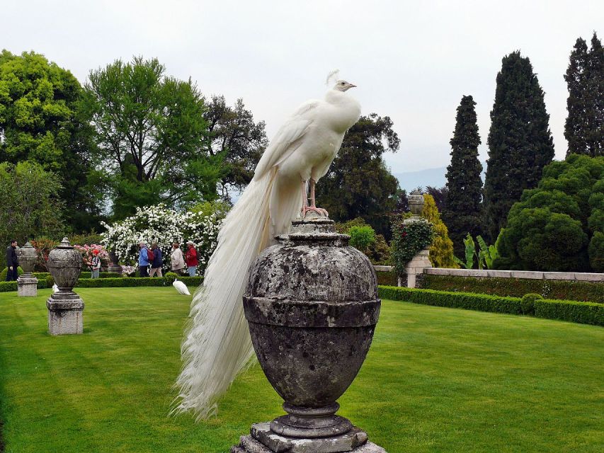 Stresa: Madre & Bella Borromean Islands Boat Trip - Isola Bella, where the Borromeos show off