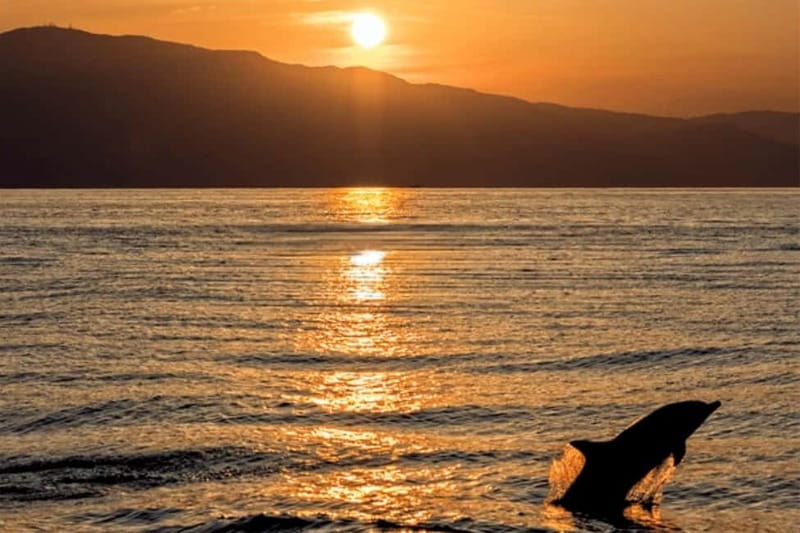 Sunset Dolphin Cruise with Dinner – Medulin Archipelago - Setting out from Medulin Harbour