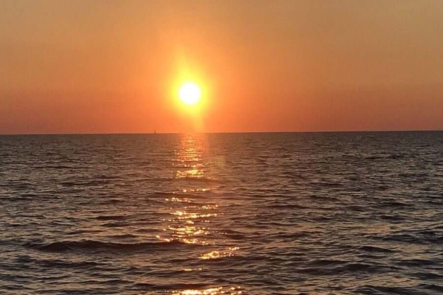 Sunset Dolphin Cruise with Dinner – Medulin Archipelago - Dinner with a choice of fish, meat, or vegetarian food