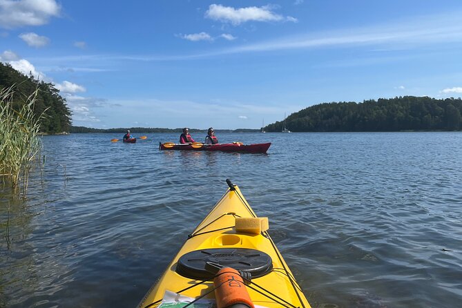 Sunset Kayak Tour in the Stockholm Archipelago + Swedish Fika - Practical advice for a smoother evening
