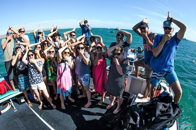 Swim with Humpback Whales - Ningaloo Reef - 3 Islands Whale Shark Dive - Reef snorkeling brings more than a backup plan