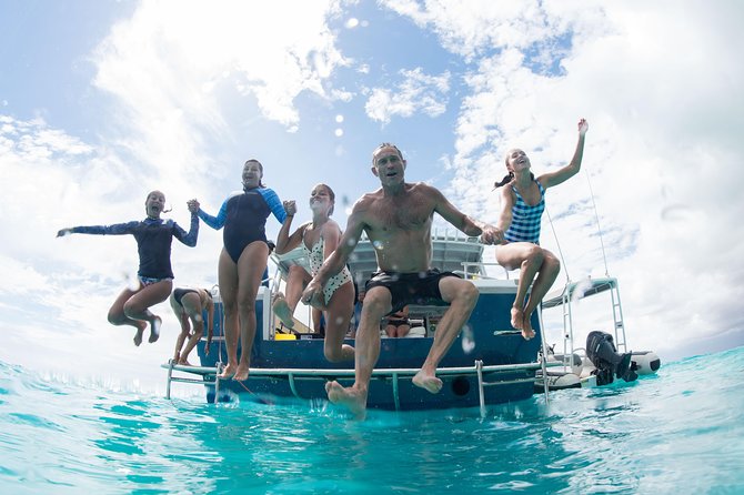 Swim with Whale Sharks in the Ningaloo Reef: 3 Island Shark Dive - Photography That Lets You Stay Present