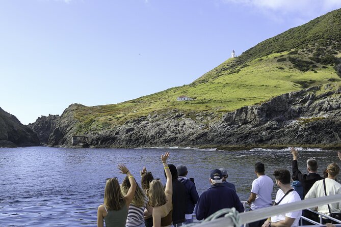 The Original Full day Bay of Islands Cruise with Dolphins - Why a seven-hour cruise makes sense in the Bay of Islands