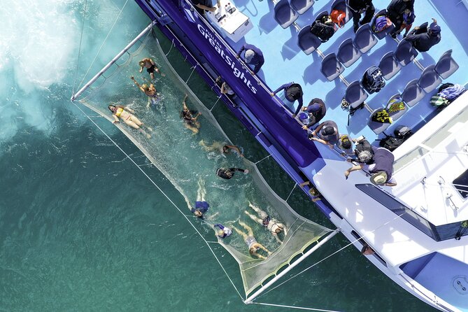 The Original Full day Bay of Islands Cruise with Dolphins - Guides, humor, and the feel onboard