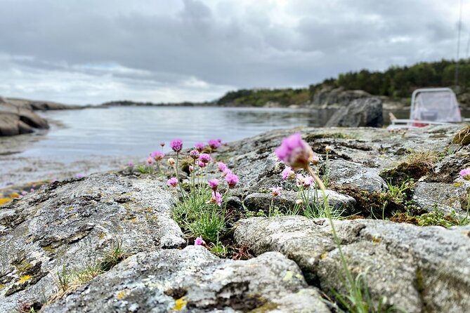 The Southern Norwegian Archipelago Experience - Seeing coastal villages from the water