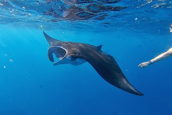 Three Islands Snorkeling (3 Spots) Manta Rays - From Lembongan - Crystal Bay: clear water and dramatic rock