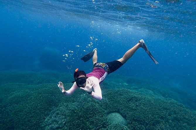 Three Islands Snorkeling (3 Spots) Manta Rays - From Lembongan - Gamat Bay: reef fish and small underwater spaces