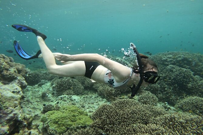 Three Islands Snorkeling (3 Spots) Manta Rays - From Lembongan - Starting at Mangrove Point at 9:30 a.m.