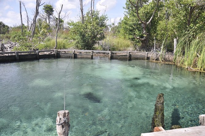 Tour Holbox - Two Island & Cenote from Cancun & Playa Del Carmen - Punta Mosquito and the shallow-water views