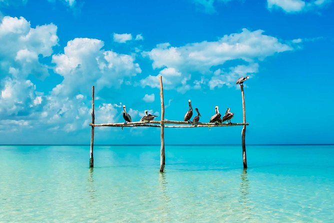 Tour Holbox - Two Island & Cenote from Cancun & Playa Del Carmen - Weather, cancellations, and smart preparation