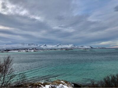Fjords and Sommarøy Islands Tour with Salmon Picnic