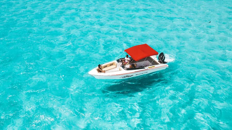 Trou d'Eau Douce: 5 Island Adventure with BBQ & Snorkeling - Wildlife watching around the islands