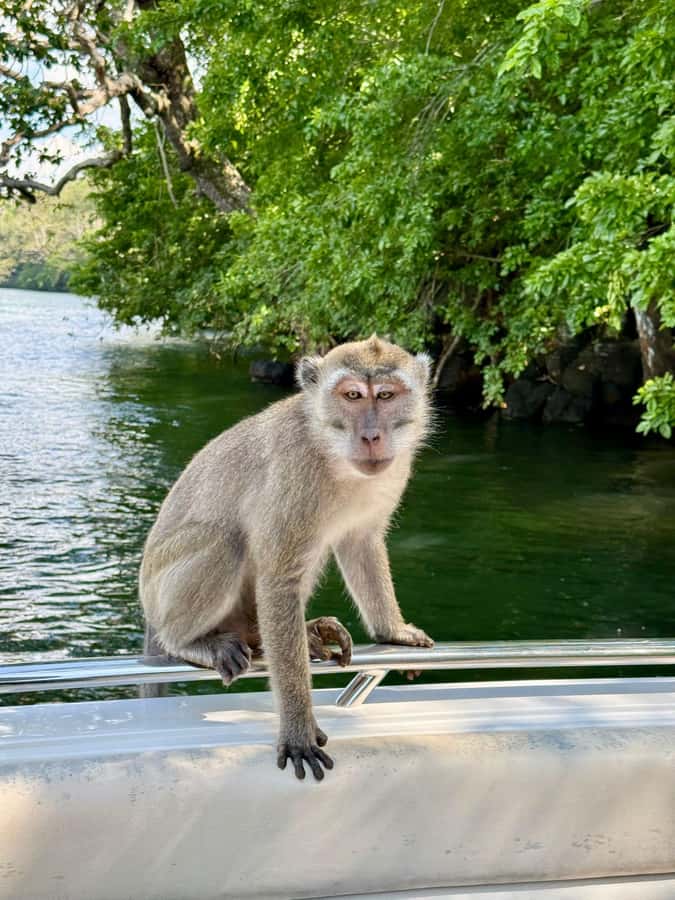Trou D'Eau Douce: 5 island tour Mauritius with lunch/drinks - Why the east coast works so well for island hopping