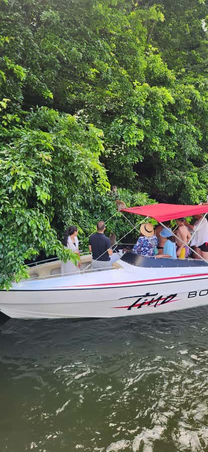 Trou D'Eau Douce: 5 island tour Mauritius with lunch/drinks - Snorkeling and swimming break up the boat time