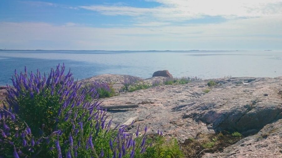 Turku Archipelago: Sea Kayaking Day Tour - Starting at Satava Kayak & SUP at 10:30