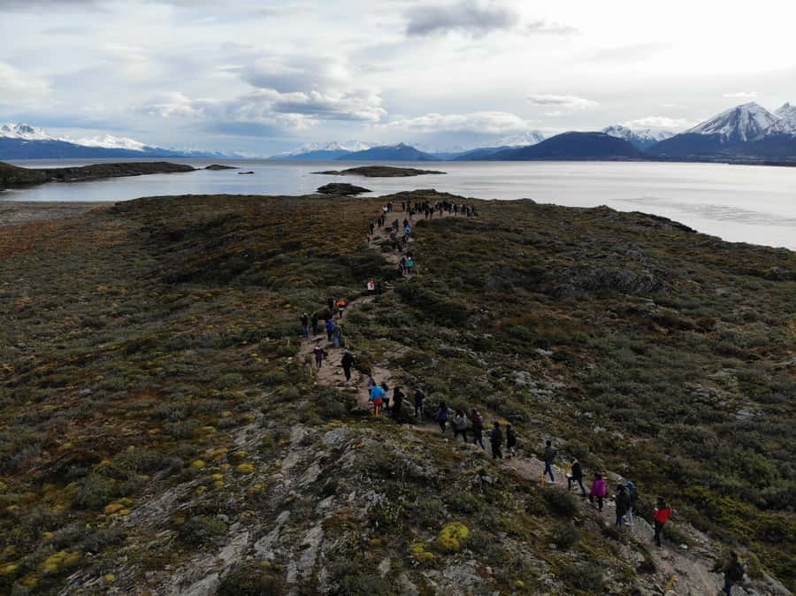 Ushuaia: Beagle Channel, Seal Island & Bridges Islands Tour - Seal Island and the sea lions