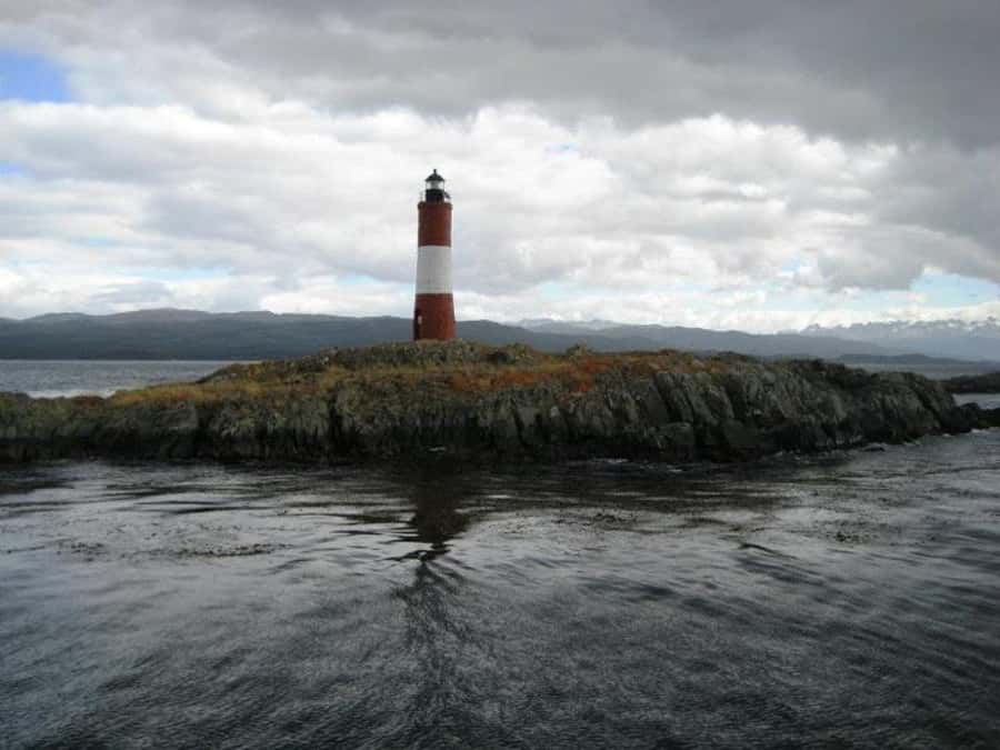 Ushuaia: Beagle Channel, Seal Island & Bridges Islands Tour - What the $88 price really buys
