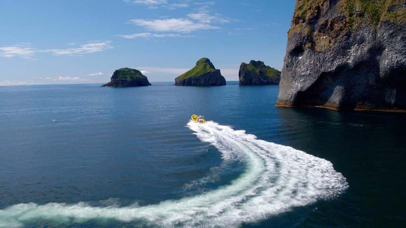 Vestmannaeyjar: One Hour Small Islands Trip - What this Vestmannaeyjar boat trip is really like