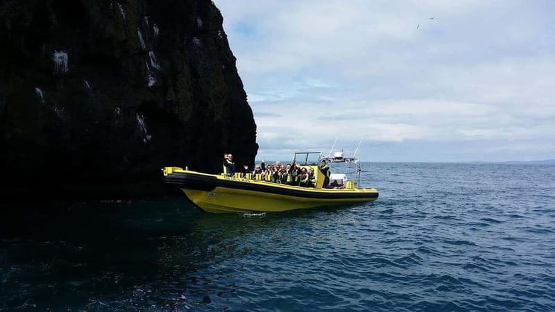 Vestmannaeyjar: One Hour Small Islands Trip - The RIB ride: speed, spray, and open water