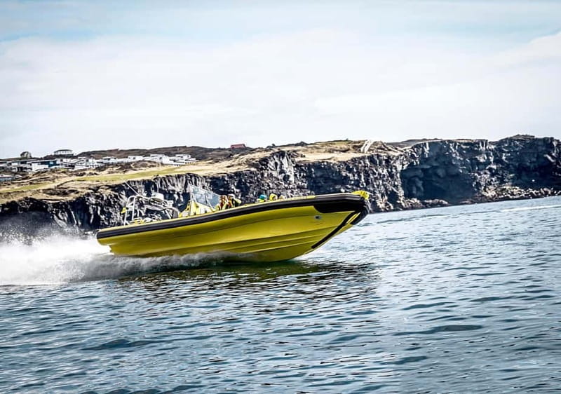 Vestmannaeyjar: One Hour Small Islands Trip - Is $153 a fair price?