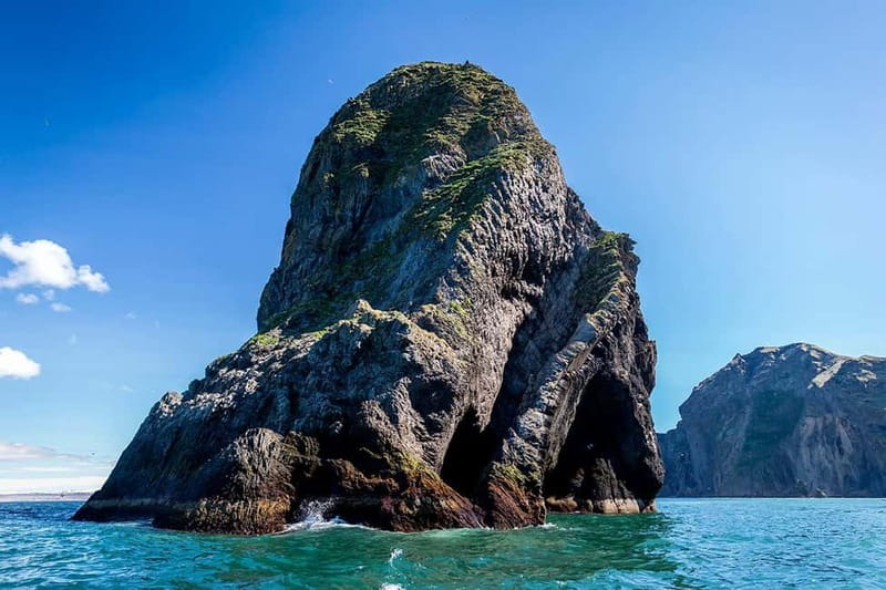 Vestmannaeyjar: One Hour Small Islands Trip - Finding the boat beside the ferry dock