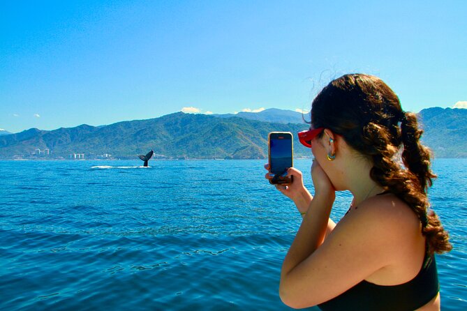 Whale Watching and Los Arcos 5 Islands Adventure - Key things to know before booking
