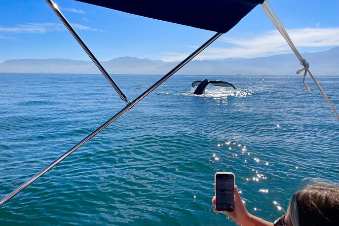 Whale Watching and Los Arcos 5 Islands Adventure - Why this half-day boat trip is appealing