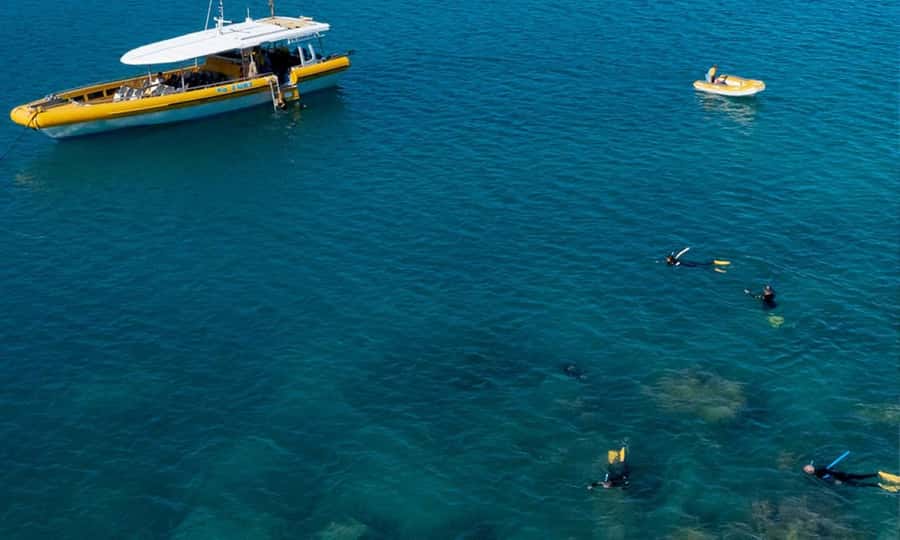 Whitsunday: Whitsunday Islands Tour with Snorkeling & Lunch - Whale season from July through September