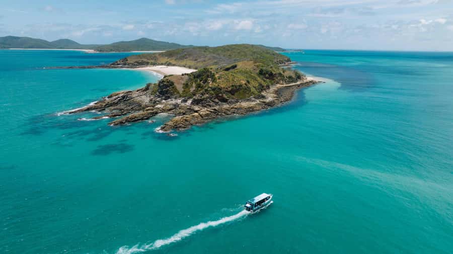Yeppoon: Great Keppel Island Fast Boat Snorkel & Lunch Tour - Wildlife watching around the Keppel Islands