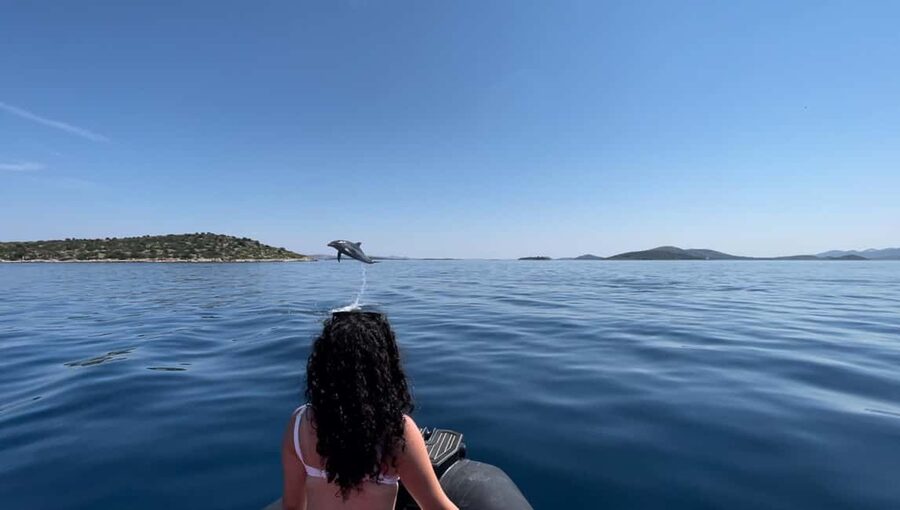 Zadar: 3-Island Speedboat Tour with Snorkeling and Drinks - Key points to know before booking