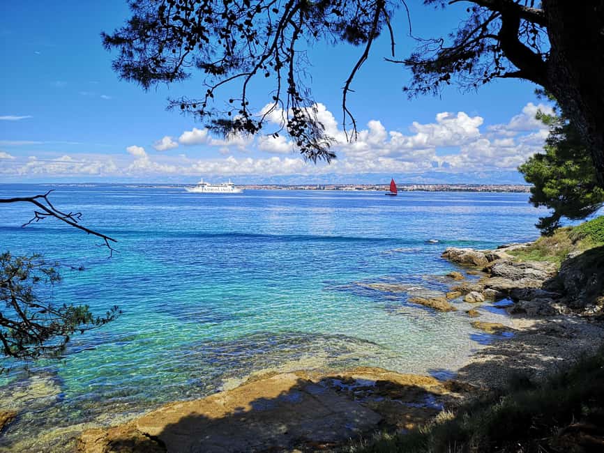 Zadar: 3 Islands Speedboat Tour with Drinks and Diving - Why the $49 price works